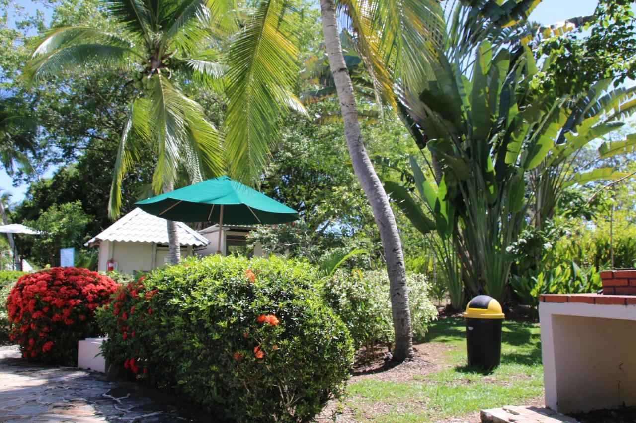 Appartamento Tropical Bliss Pool Wi-Fi Bbq Near Quepos Manuel Antonio Esterno foto