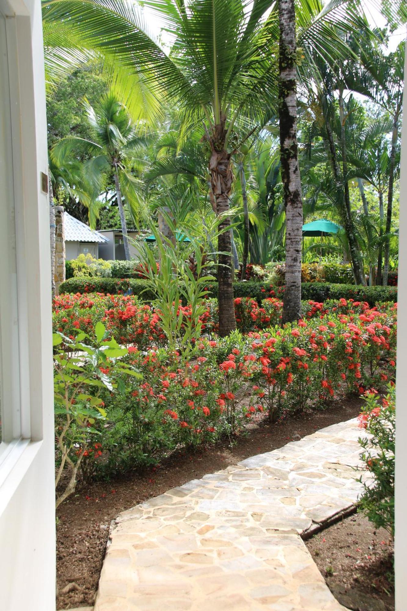 Appartamento Tropical Bliss Pool Wi-Fi Bbq Near Quepos Manuel Antonio Esterno foto